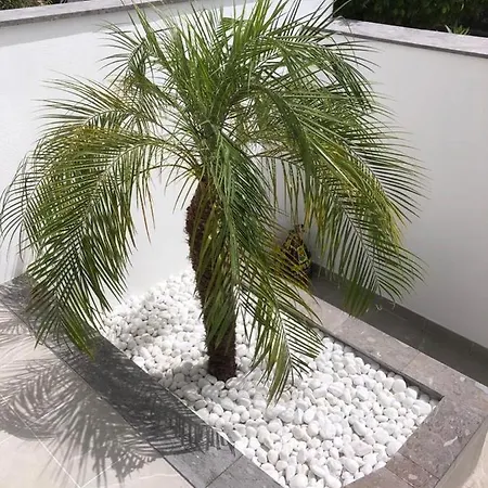 Duplex In Chayofa, Tenerife South